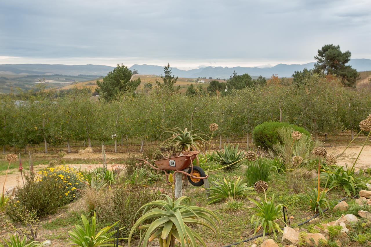 Villa Old Mac Daddy à Botrivier Extérieur photo